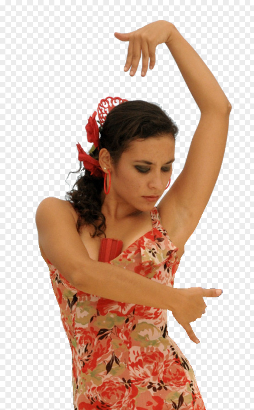 Belly Dance Flamenco PNG
