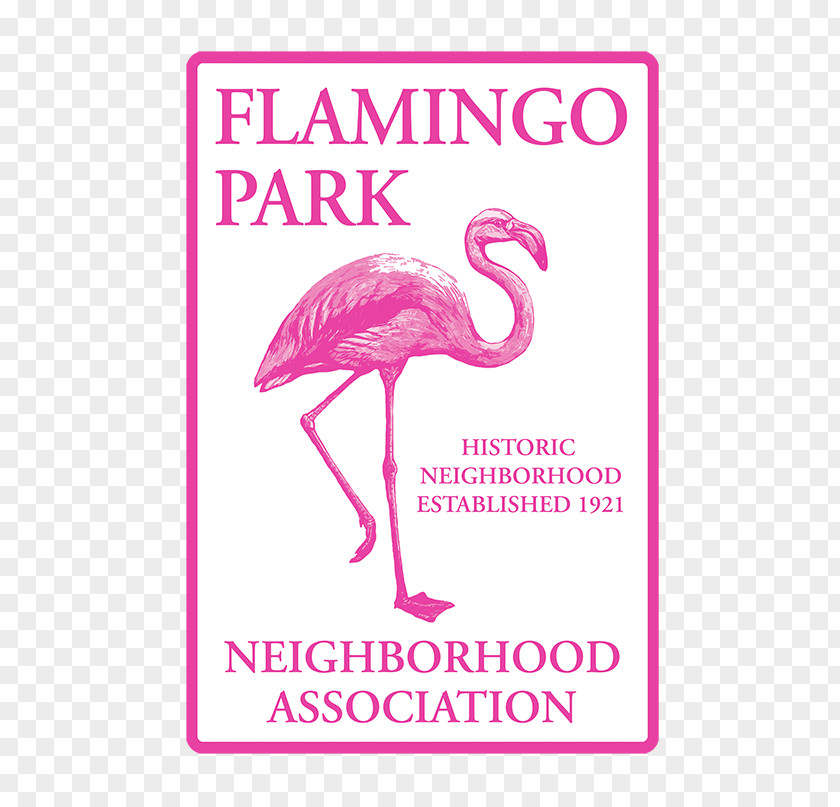 Bird Il Fenicottero Beak Greater Flamingo Animal PNG