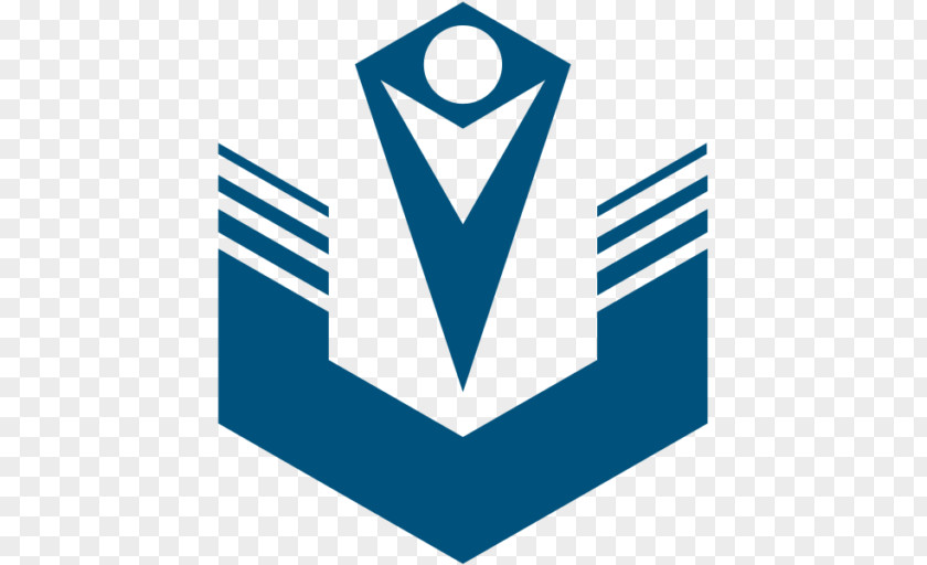 Cool Logo VKontakte Арбитраж трафика Paperback Internet PNG