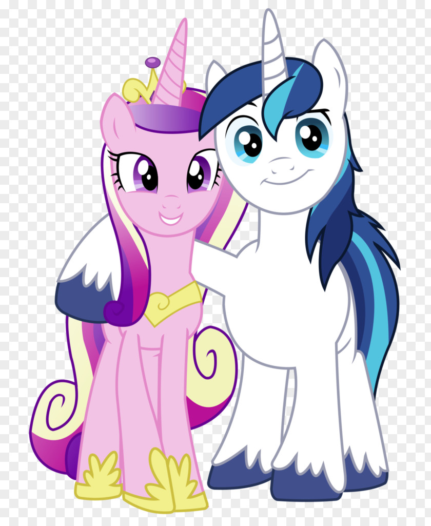 Happy Couple Pony Pinkie Pie Princess Cadance Twilight Sparkle Rarity PNG
