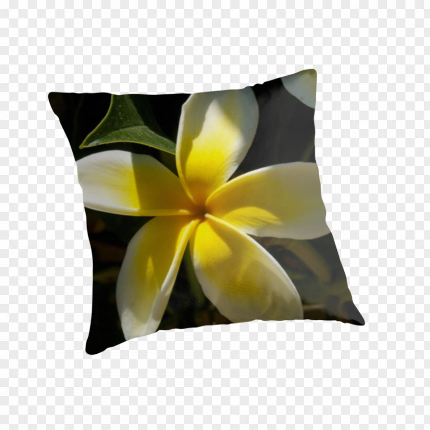 Plumeria Throw Pillows Cushion Flower Petal PNG
