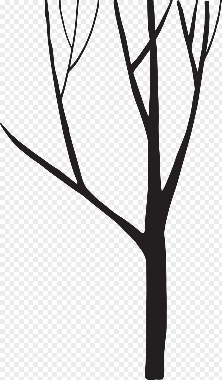 Tree Silhouette Black And White PNG