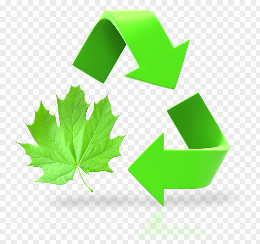 Umwelt Recycling Symbol Waste Bin Clip Art PNG