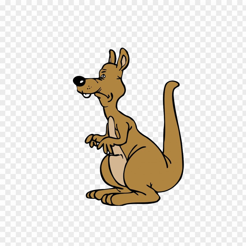 An Old Kangaroo Animation Animated Cartoon Clip Art PNG