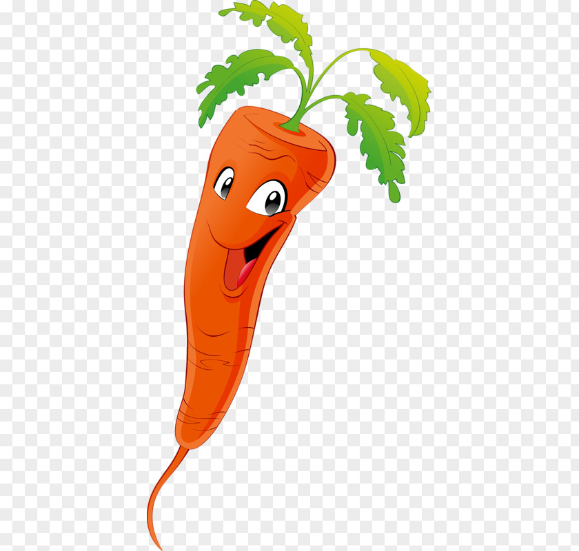Cartoon Carrot Vegetarian Cuisine Vegetable Zucchini PNG
