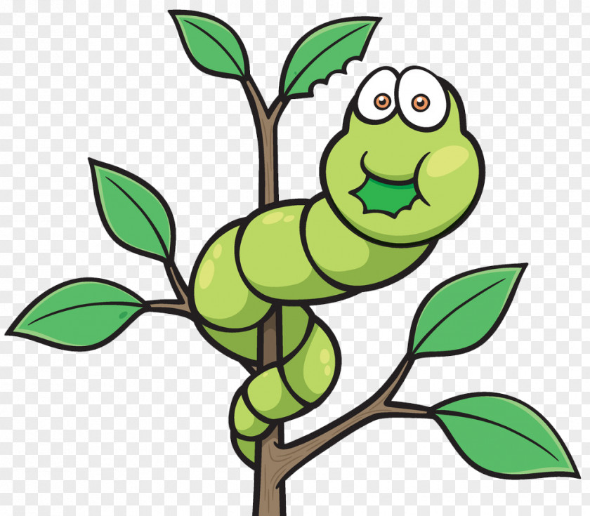 Cartoon Caterpillar Worm Insect Butterfly PNG