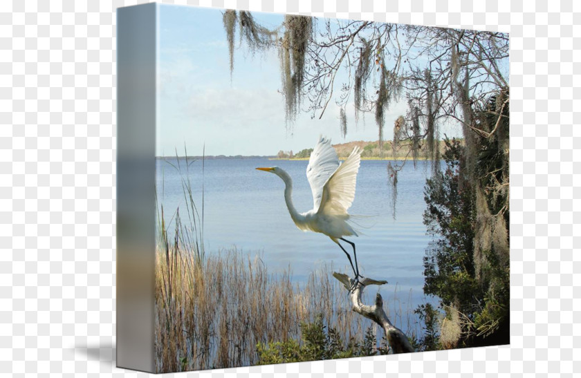 Egret Poster Design Art Canvas Print Painting Printmaking PNG