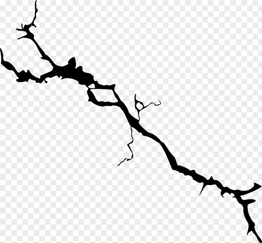 Wall Crack Branch Tree Clip Art PNG
