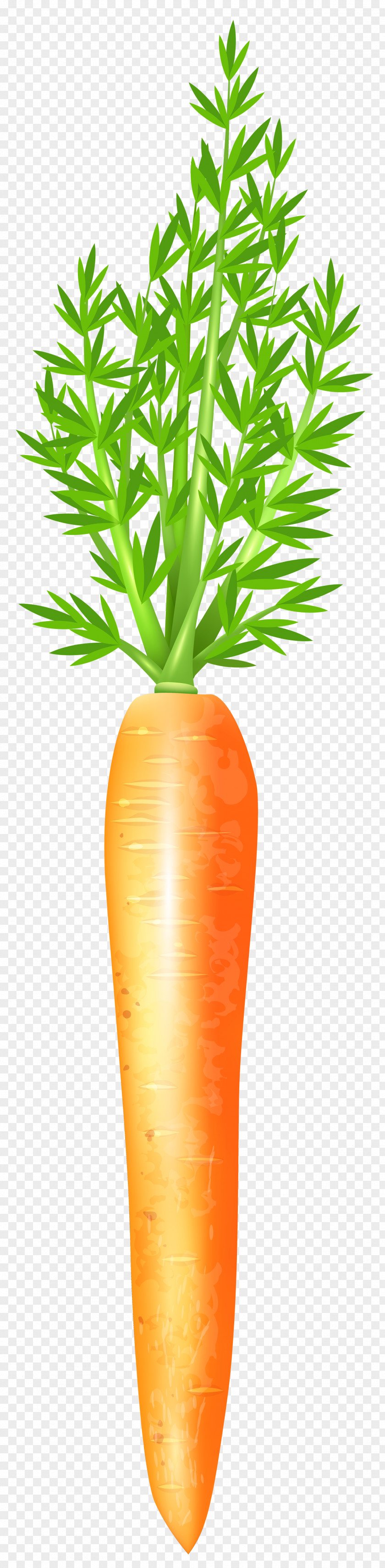 Carrot Free Clip Art Image PNG