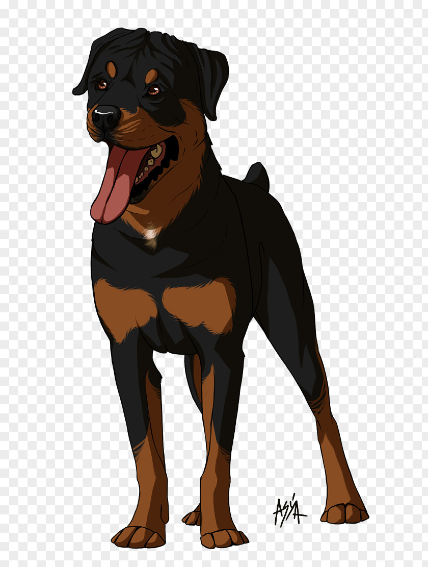 Dog Breed Rottweiler Snout Animated Cartoon PNG