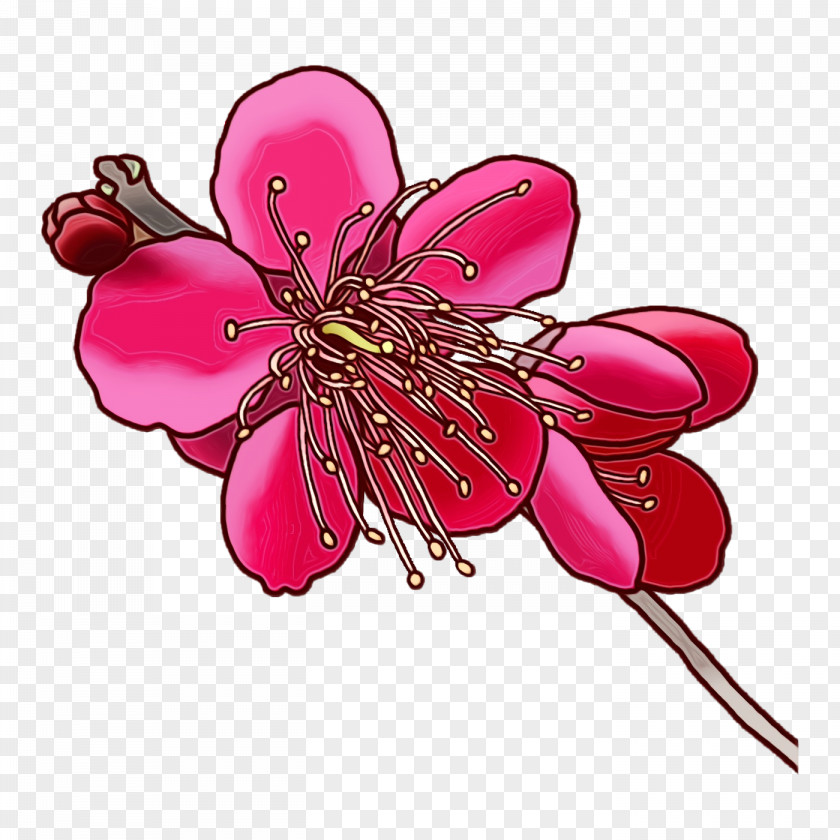 Floral Design PNG