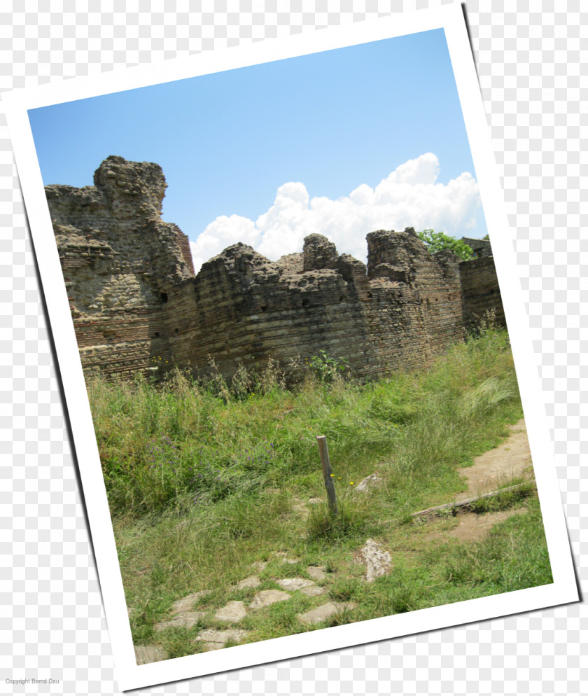 Park National Geology Nature Reserve Plant Community Outcrop PNG