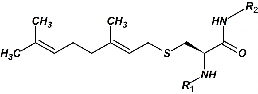 Retinyl Palmitate Dietary Supplement Vitamin A Retinol PNG