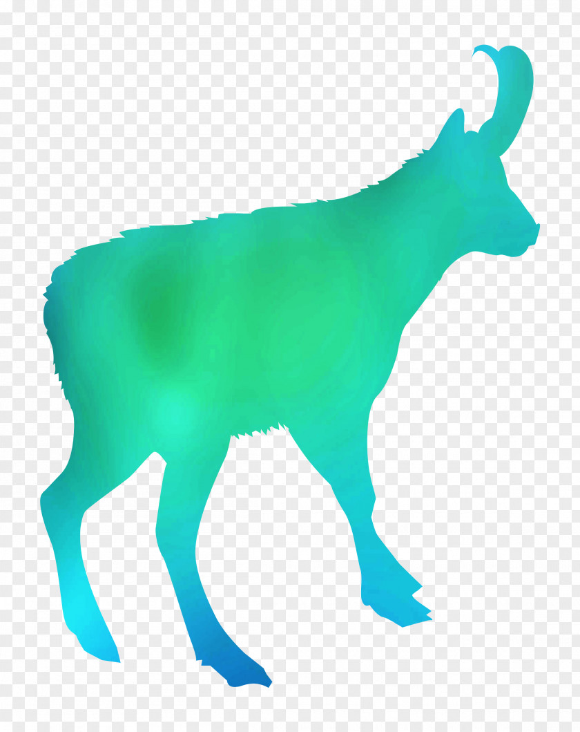 Sheep Cattle Reindeer Goat Mammal PNG