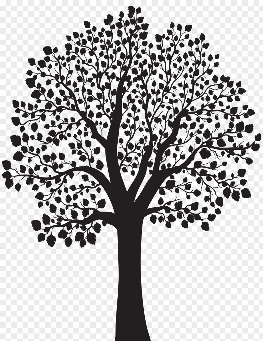 Tree Silhouette Clip Art Image Illustration PNG