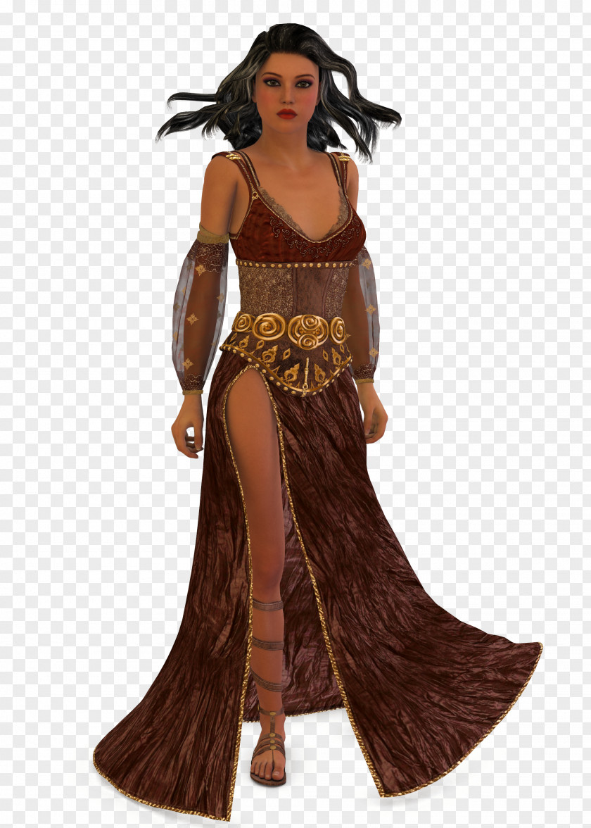 Women Hair Costume Design Brown PNG