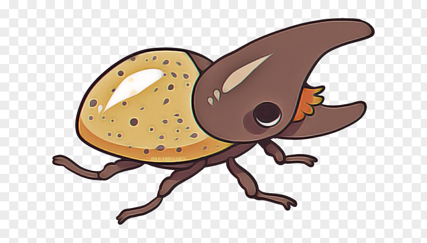 Animal Figure Membranewinged Insect Cartoon Beetle Pest Weevil PNG