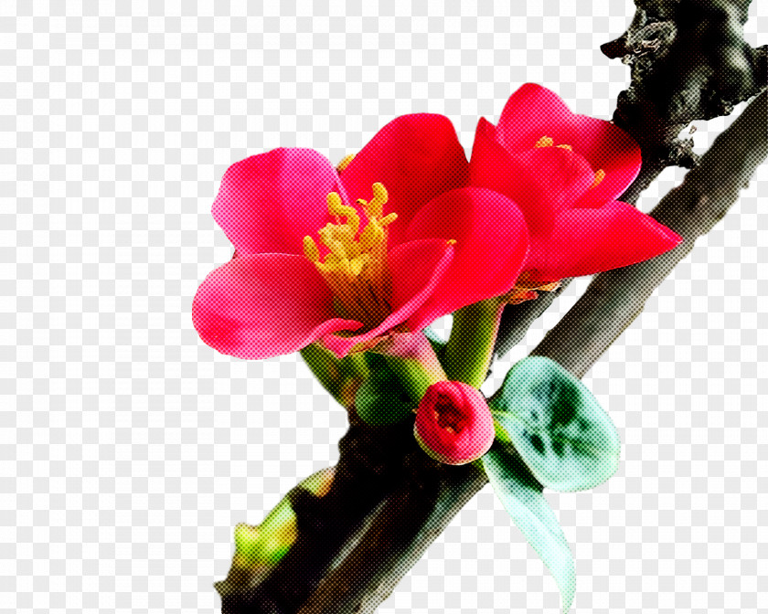 Artificial Flower PNG