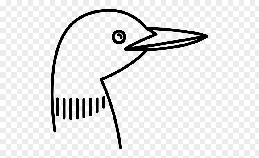 Bird Duck Feather Clip Art PNG