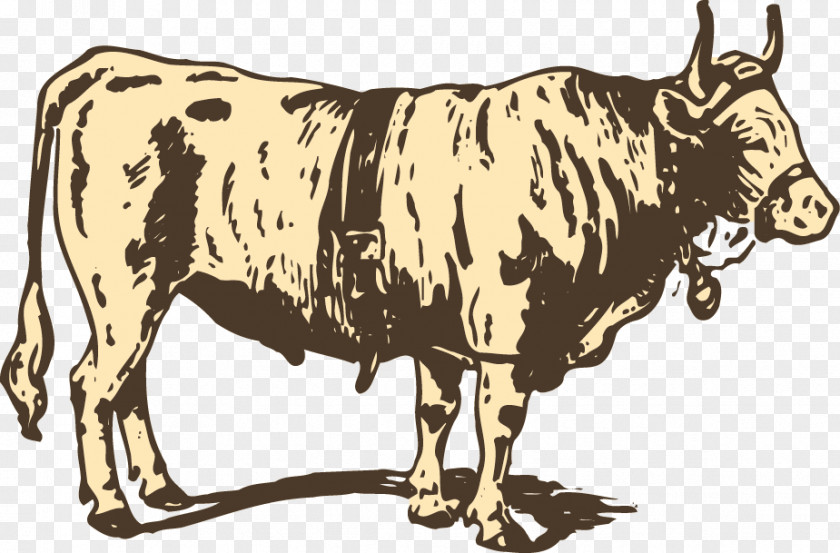 Cow Vector Material Dairy Cattle Milk Ox PNG