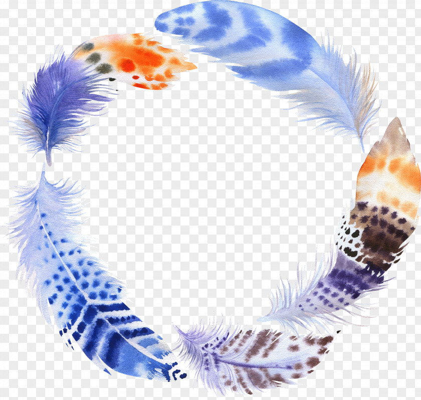 Feather Sticker Author Amazon.com Goodreads Organization PNG