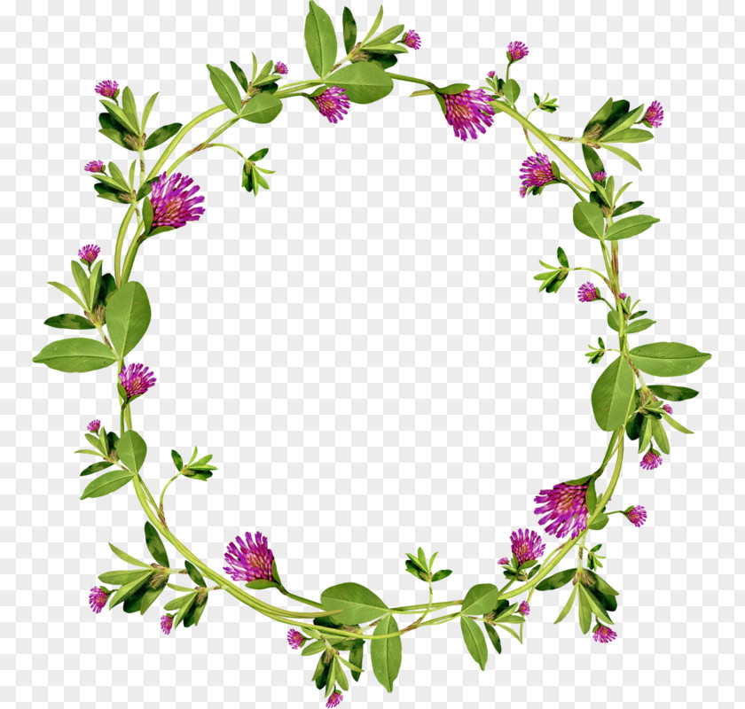 Green Garland Floral Design Wreath PNG