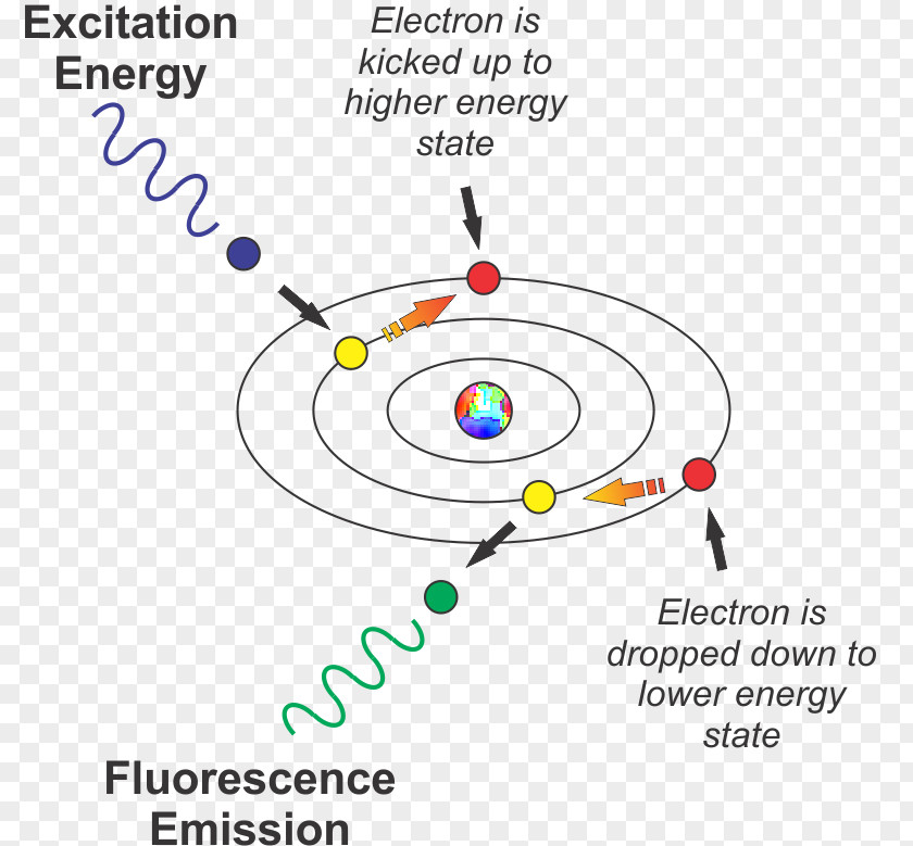 Light Fluorescence Electron Excitation Excited State PNG