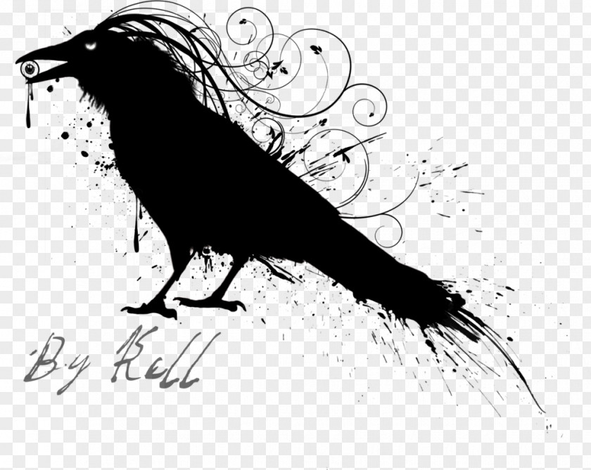 Raven Drawing Bird PNG