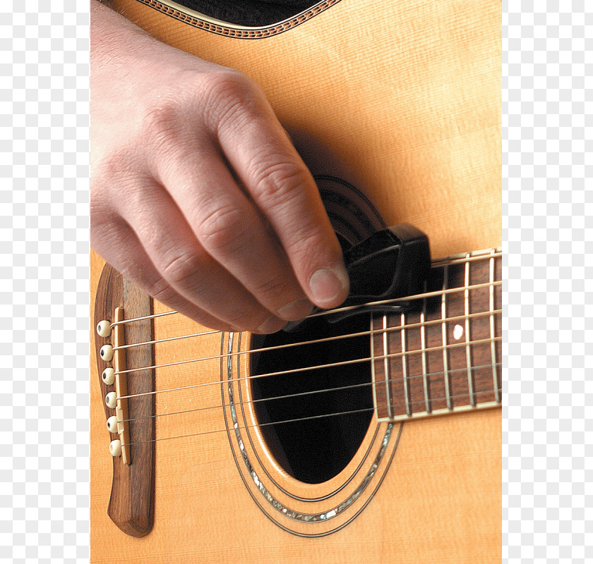 Acoustic Guitar Bass Acoustic-electric Tiple String PNG