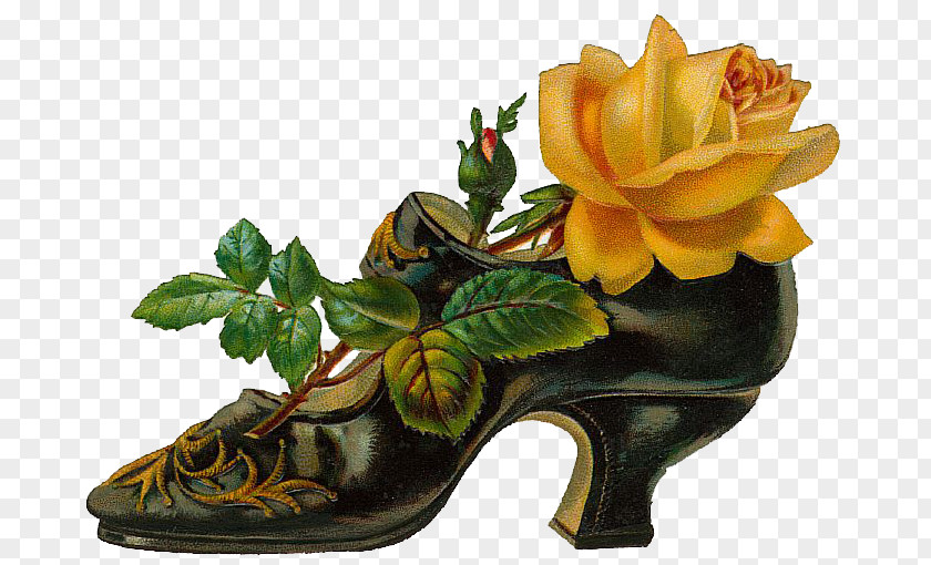 Black High Heels Victorian Era Flower Shoe Bokmxe4rke Clip Art PNG
