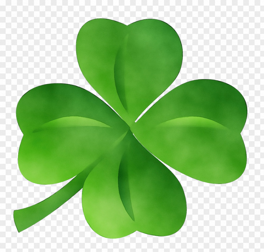 Clover Flower Shamrock PNG