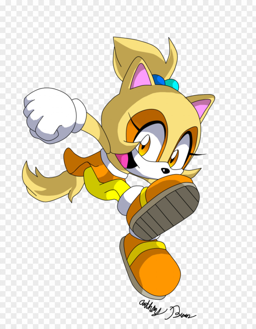Cute Raccoon Cat Tails Cream The Rabbit Sonic Adventure 2 CD PNG