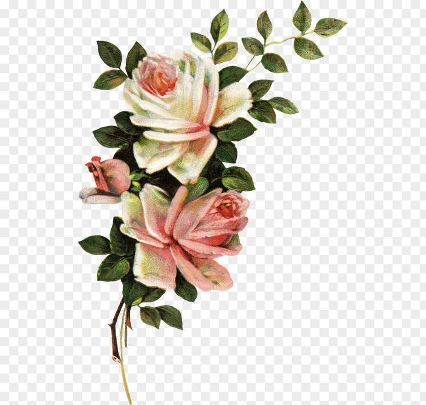 Flower Garden Roses Floral Design Cut Flowers Bouquet PNG