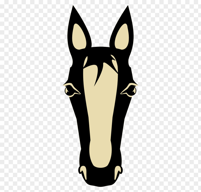 Horse Face Cliparts Arabian American Quarter Clip Art PNG
