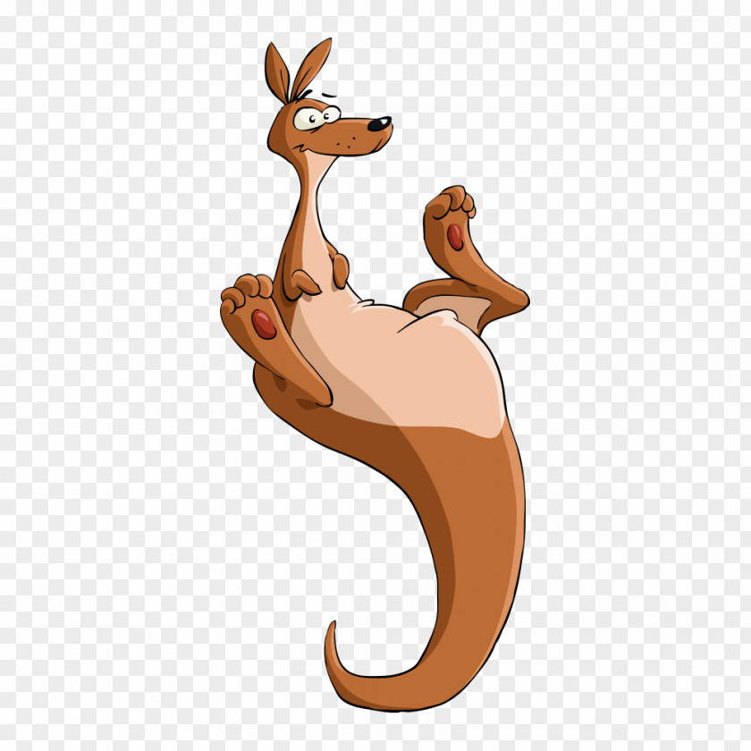 Vector Kangaroo Hippety Hopper Cartoon Illustration PNG