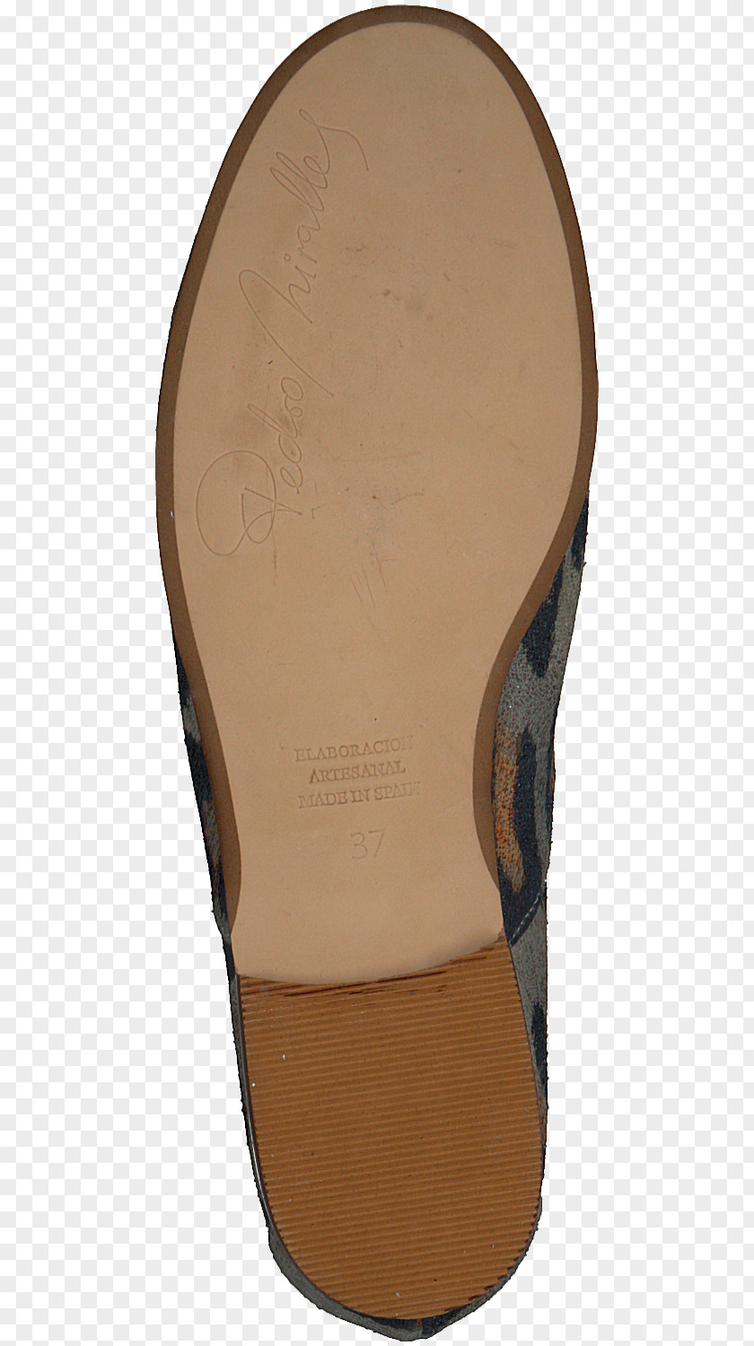 Design Shoe PNG