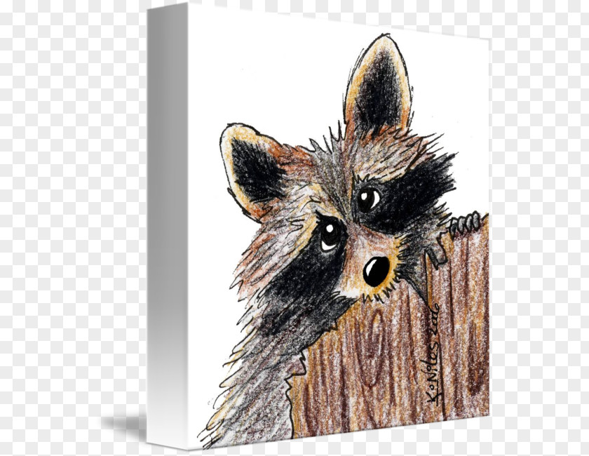 Dog Red Fox Raccoon Whiskers Snout PNG