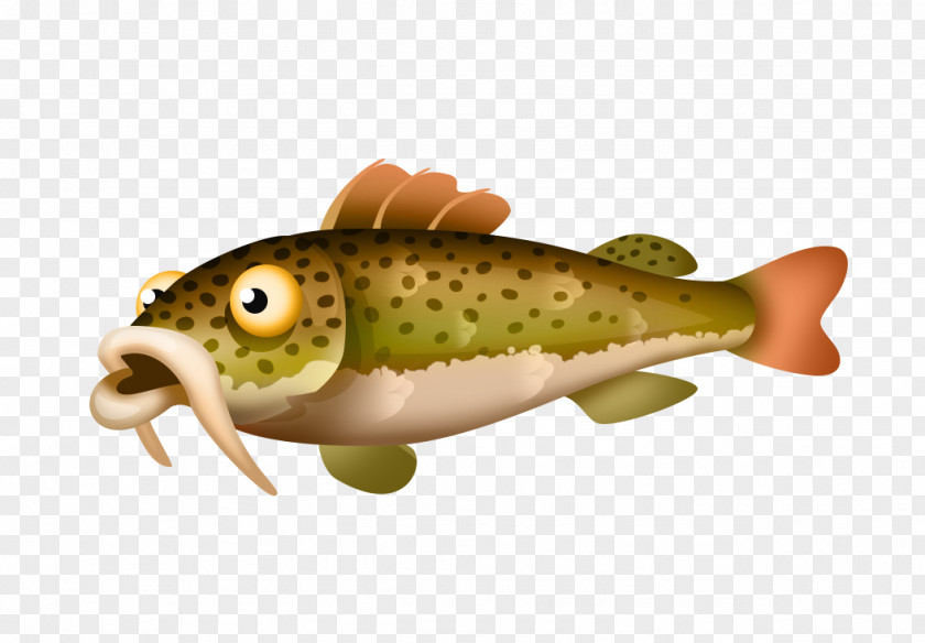 Fish Redtail Catfish Clip Art Bony Fishes Trout PNG
