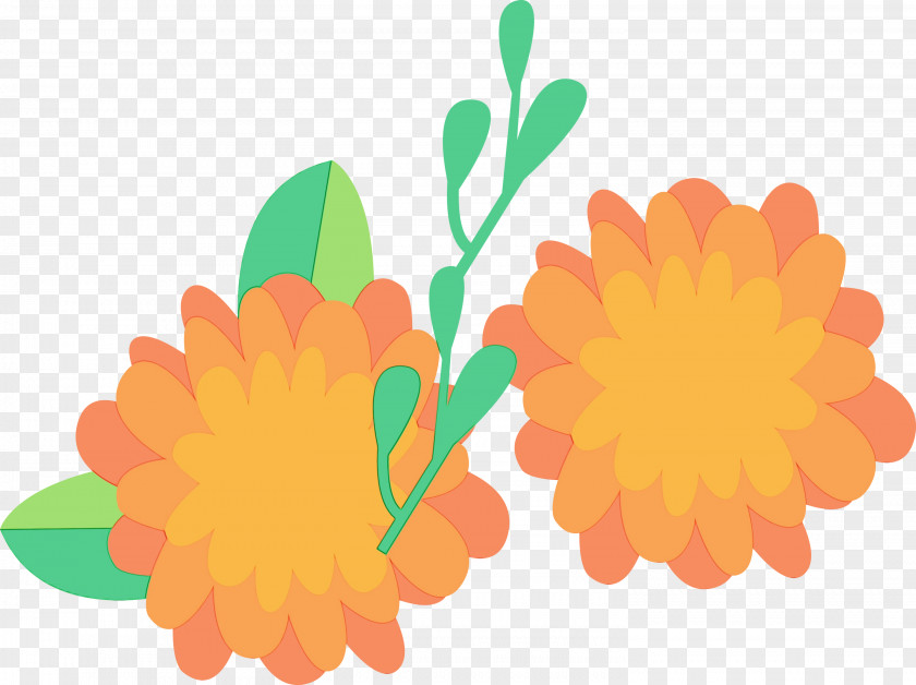 Floral Design PNG