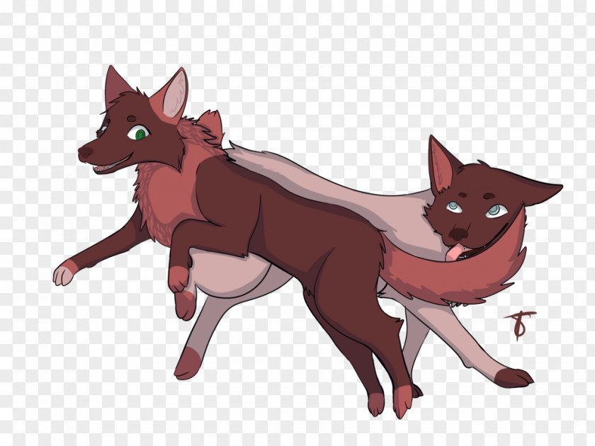 Kace Red Fox Fauna Cartoon Wildlife Snout PNG