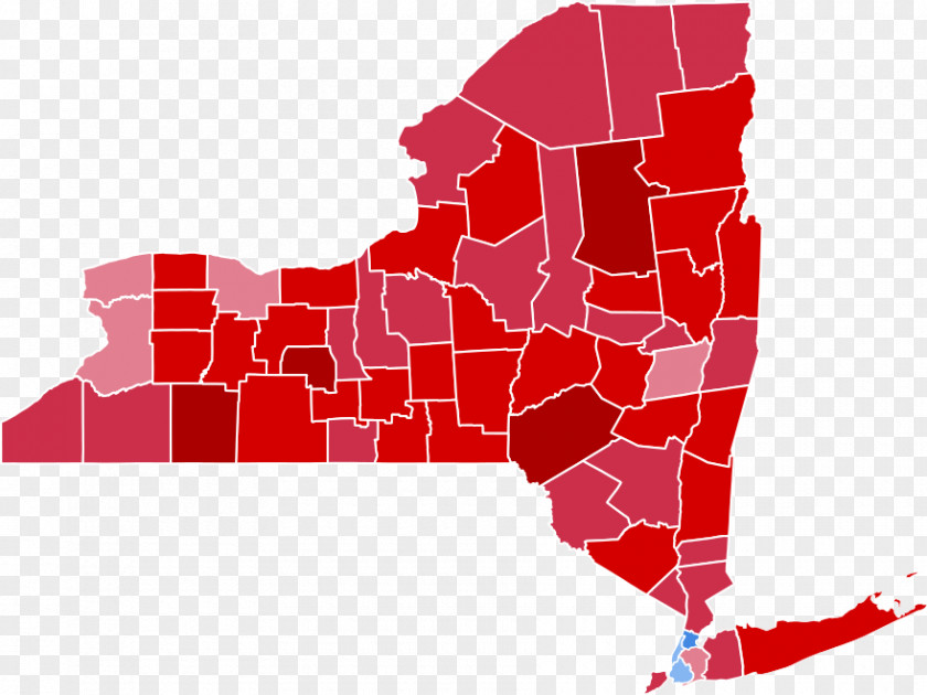 New York City Gubernatorial Election, 2018 State 1962 United States Presidential Election Governor Of PNG