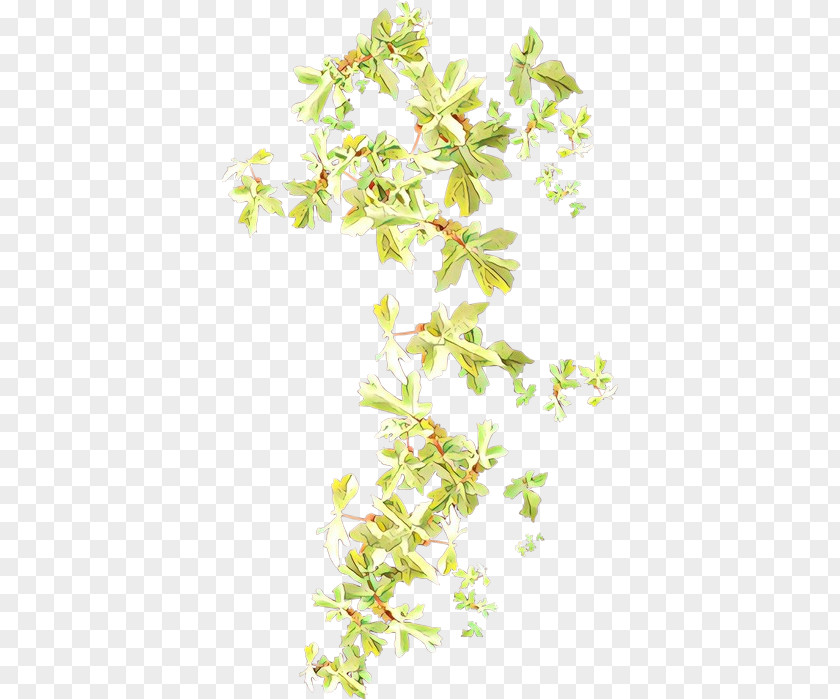 Plant Stem Branch Flower PNG