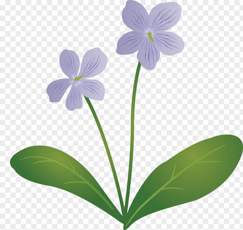 Violet Flower PNG