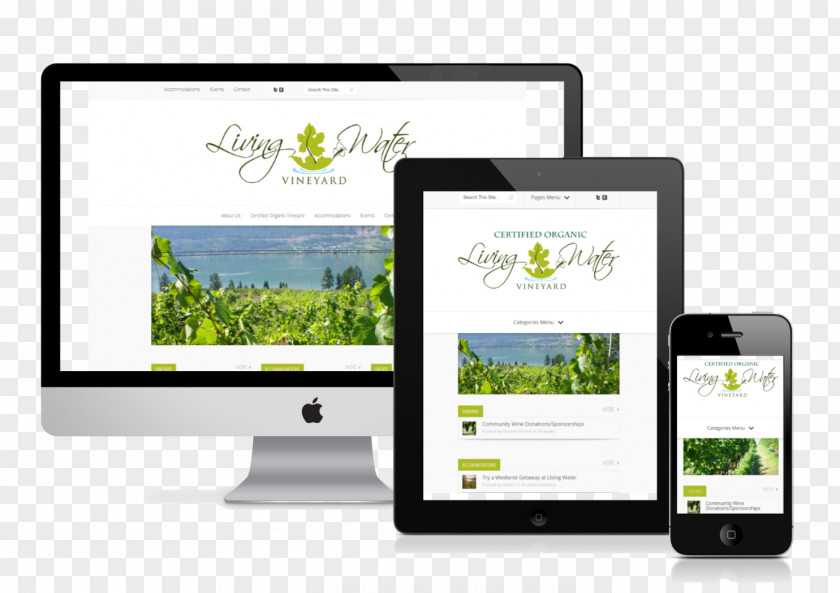 Web Design Development Responsive E-commerce PNG