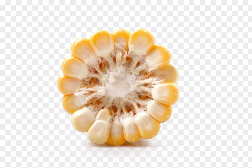 Corn Waxy Popcorn Maize Sweet PNG