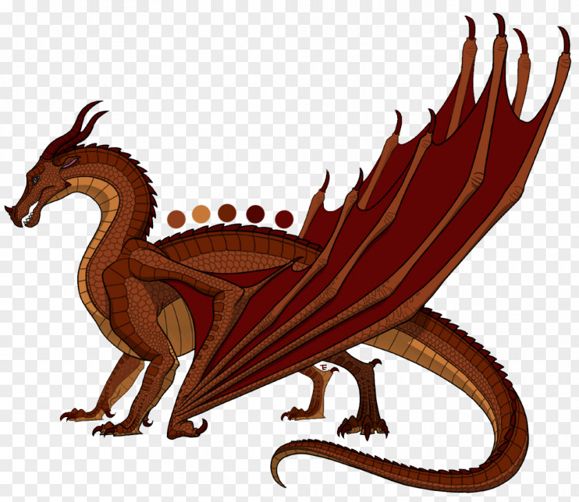 Die Prophezeiung Der Drachen Color DragonFire Wings Of Fire 1 PNG