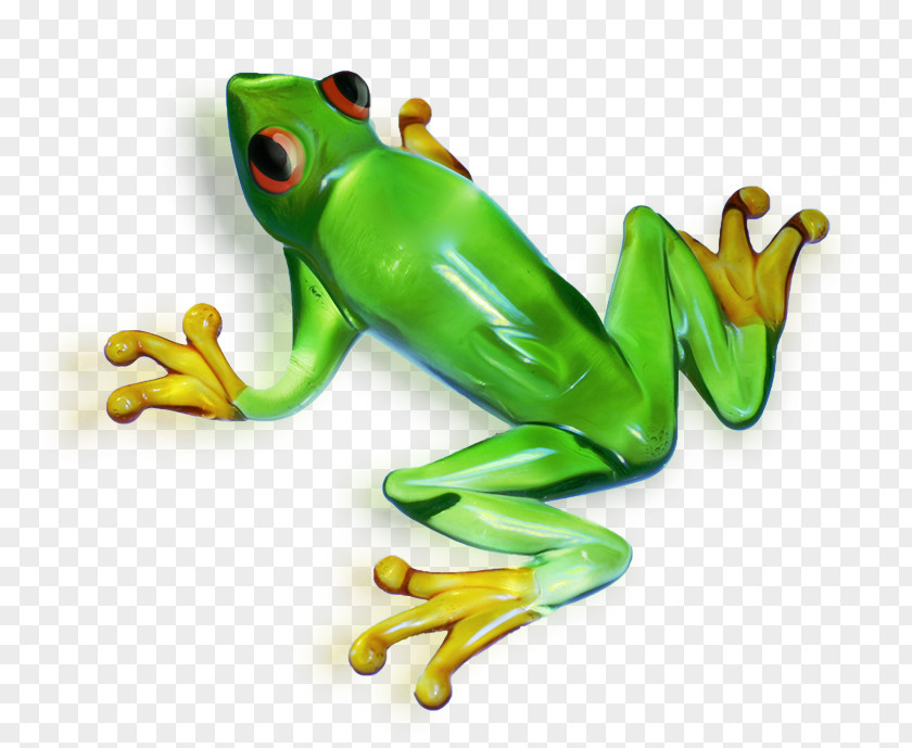Green Frog True Tree PNG