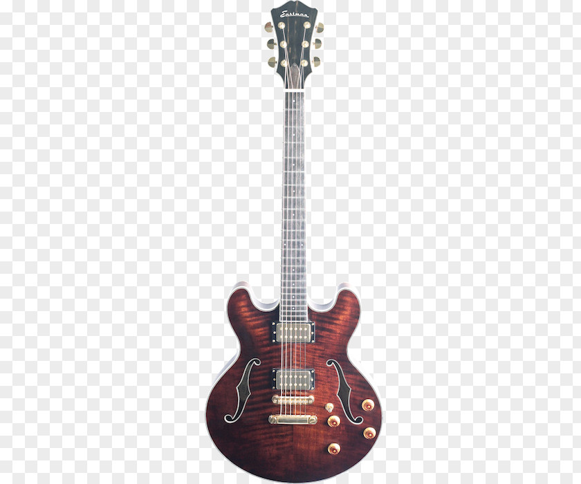 Guitar Electric Baritone Archtop Semi-acoustic PNG