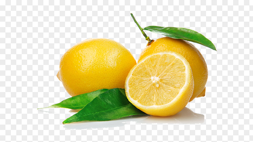 Lemon Meyer Lime Mandarin Orange PNG
