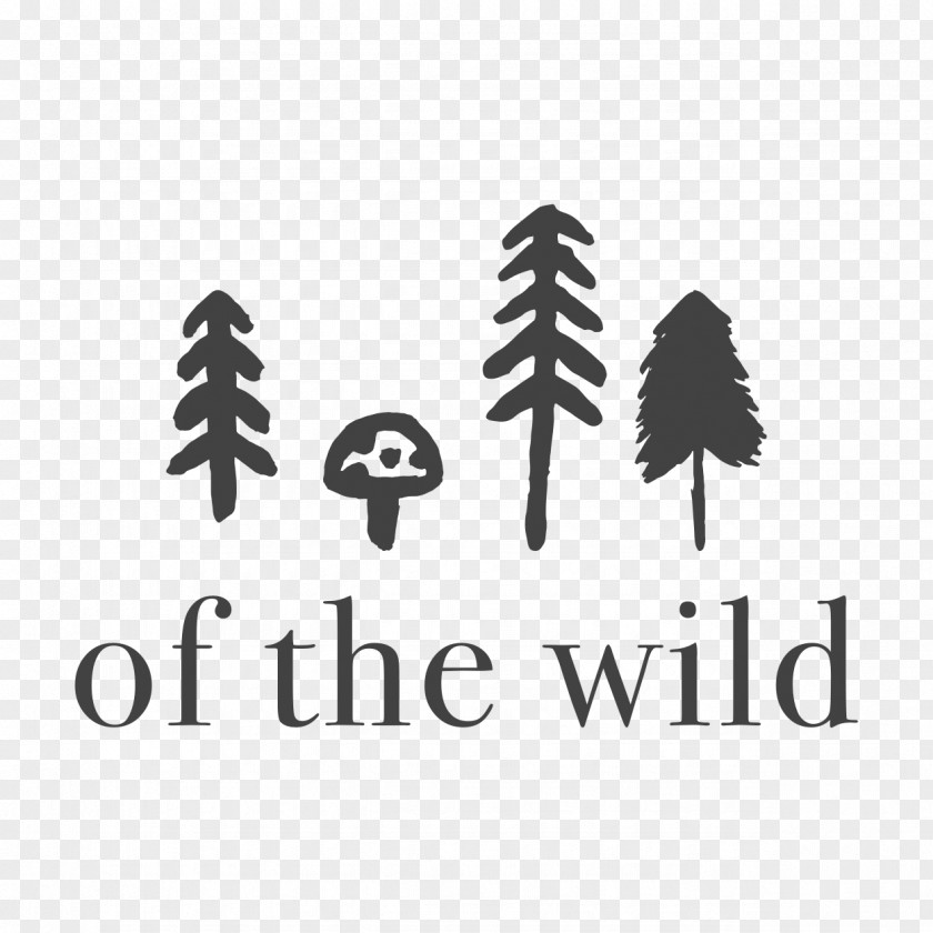 Of The Wild Nature Preschool CKWD St. Patrick's Island Pre-school Wee Ones PNG